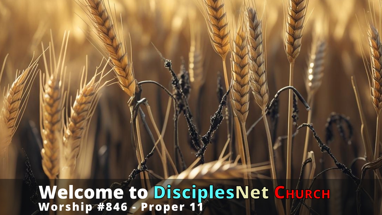 DisciplesNet Worship #846, Proper 11 (Mullen, 07.19.2026)