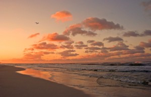 photo of a beach at sunset