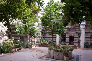 photo of courtyard with trees and planter