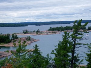 photo of a series of inlets as see through the tops of trees