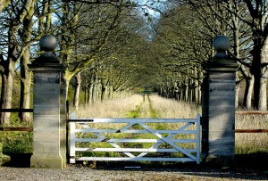 Photo of an old marble gate into a road between two lines of trees