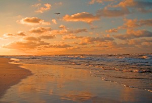 photo of waves on seashore at sunset