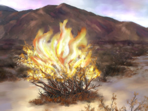 burning_bush