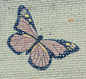 butterfly on brick wall