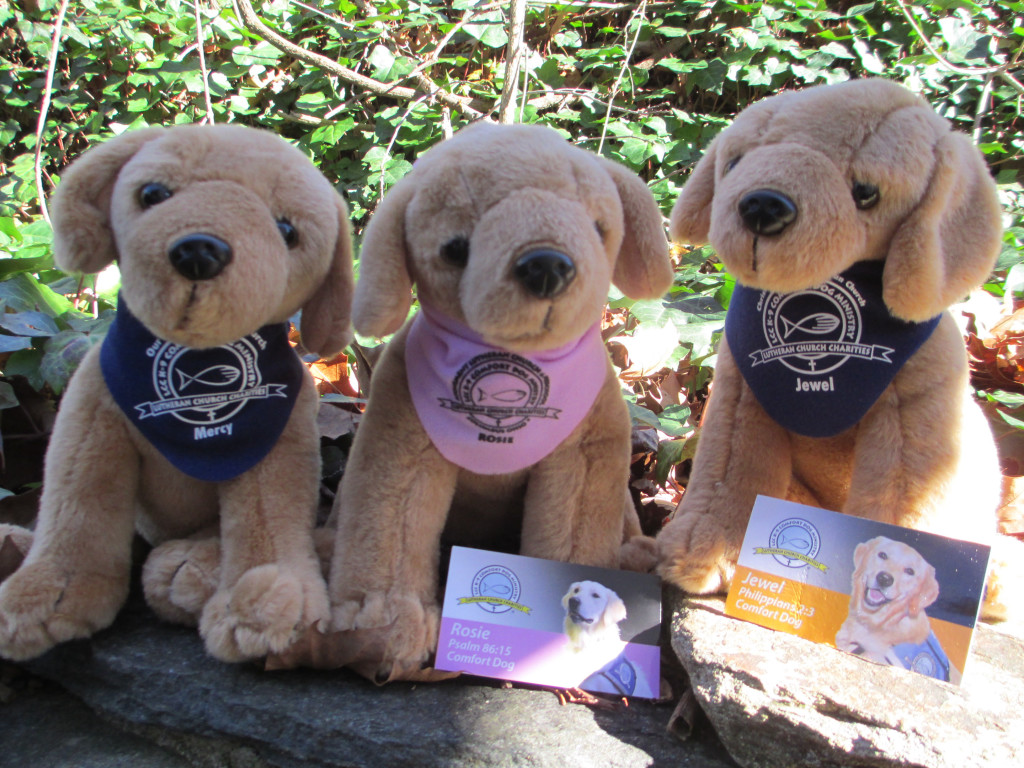 comfort dogs MMc Mercy, Rosie, and Jewel